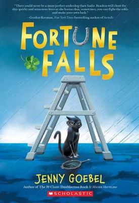 Book cover for Fortune Falls