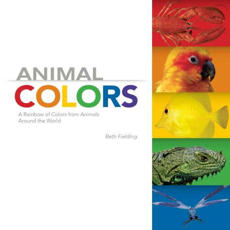 Book cover for Animal Colors