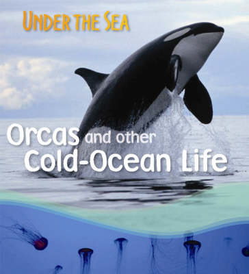 Book cover for Orcas and Other Cold-ocean Life