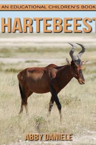 Cover of Hartebeest! An Educational Children's Book about Hartebeest with Fun Facts & Photos