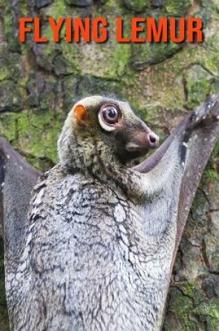 Cover of Flying Lemur