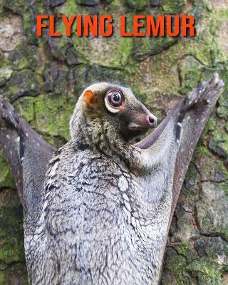 Book cover for Flying Lemur