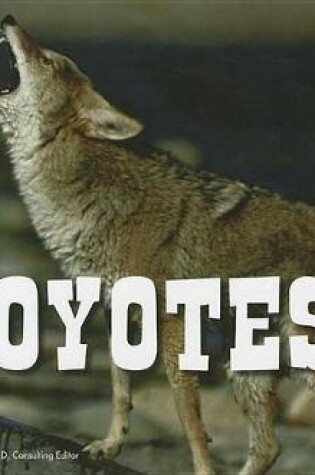 Cover of Coyotes