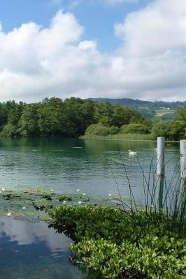 Book cover for Placed Lake Switzerland