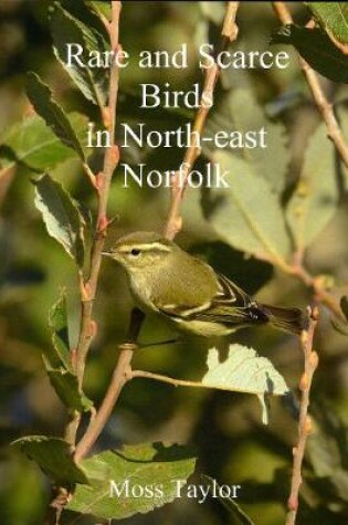 Cover of Rare and Scarce Birds in North-east Norfolk