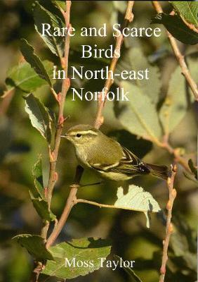 Book cover for Rare and Scarce Birds in North-east Norfolk