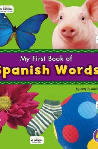 Cover of Spanish Words