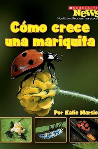 Cover of Como Crece una Mariquita