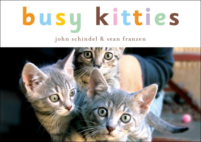 Book cover for Busy Kitties