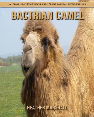 Book cover for Bactrian camel