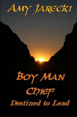 Book cover for Boy Man Chief