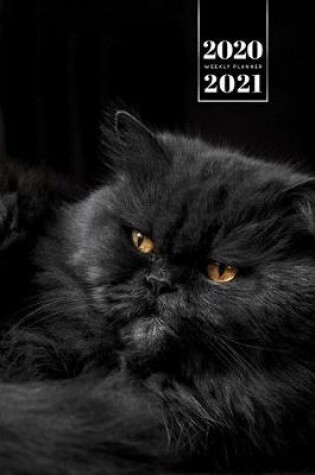 Cover of Persian Cat Kitten Kitty Tomcat Week Planner Organizer 2020 / 2021 - Very Black