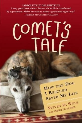 Book cover for Comet's Tale