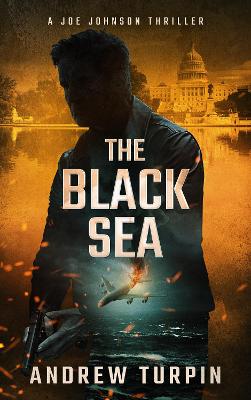 Book cover for The Black Sea