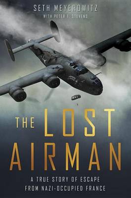 Book cover for The Lost Airman