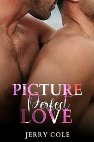 Cover of Picture Perfect Love