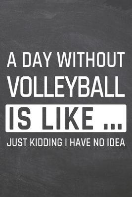 Book cover for A Day without Volleyball is like ...