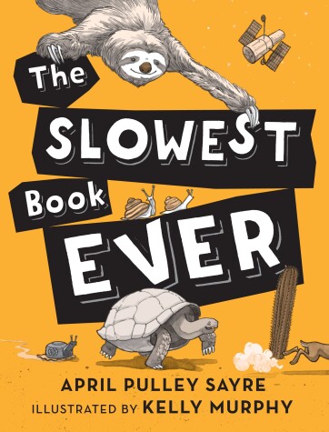 Book cover for The Slowest Book Ever