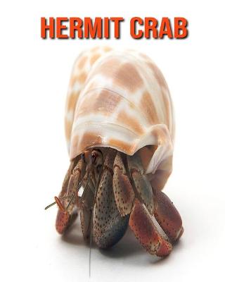 Book cover for Hermit Crab