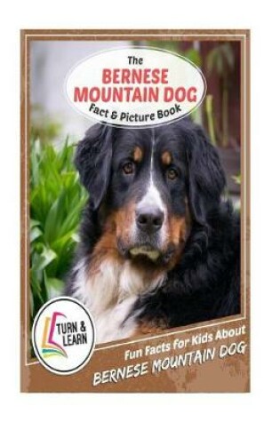 Cover of The Bernese Mountain Dog Fact and Picture Book