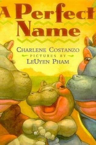 Cover of A Perfect Name