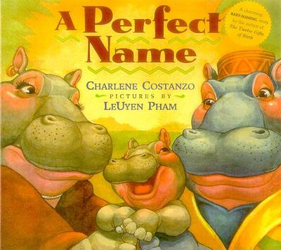 Book cover for A Perfect Name