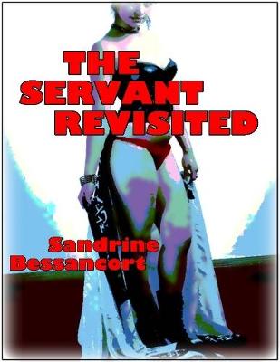 Book cover for The Servant Revisited