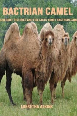 Cover of Bactrian Camel