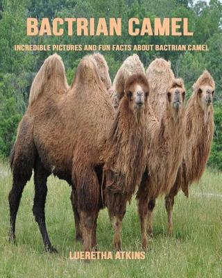 Book cover for Bactrian Camel