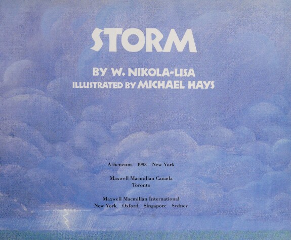 Book cover for Storm