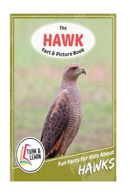 Book cover for The Hawk Fact and Picture Book