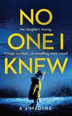 Book cover for No One I Knew