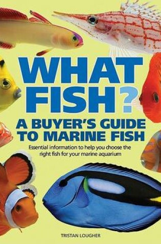 Cover of What Fish? a Buyer's Guide to Marine Fish