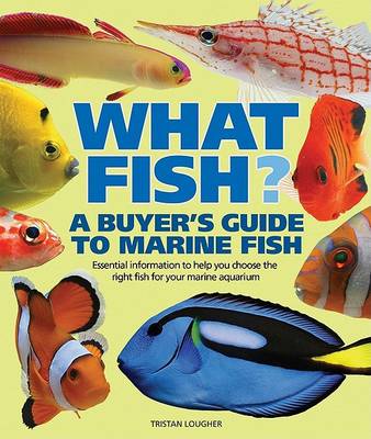 Book cover for What Fish? a Buyer's Guide to Marine Fish