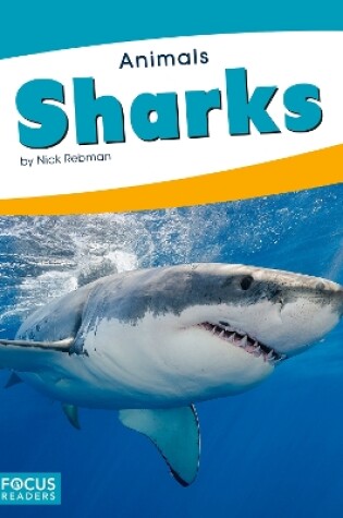 Cover of Animals: Sharks