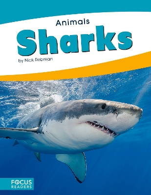 Book cover for Animals: Sharks