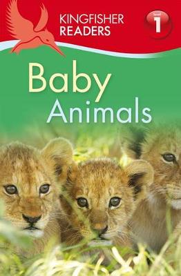 Book cover for Kingfisher Readers: Baby Animals (Level 1: Beginning to Read)