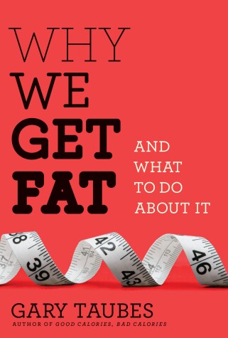 Book cover for Why We Get Fat