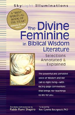 Cover of The Divine Feminine in Biblical Wisdom Literature