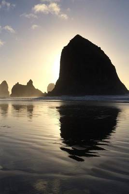 Book cover for Website Password Organizer Haystack Rocks Off Shore in Oregon