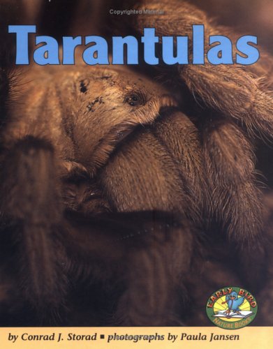 Cover of Tarantulas