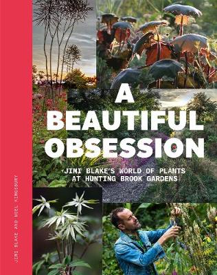 Book cover for A Beautiful Obsession