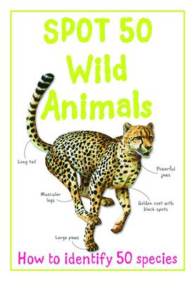 Book cover for Spot 50 Wild Animals