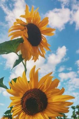 Book cover for Sunflowers in a Field Summer Journal