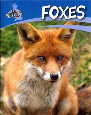 Book cover for Foxes