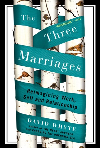 Book cover for The Three Marriages