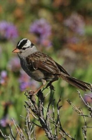 Cover of White-Crowned Sparrow (Zonotrichia Leucophrys) Bird Journal