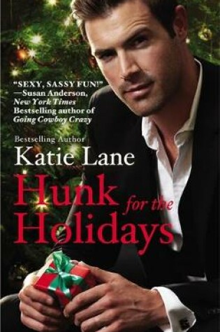 Cover of Hunk for the Holidays