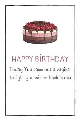 Book cover for HAPPY BIRTHDAY Today You came out a vagina tonight you will be back in one