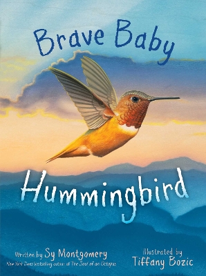 Book cover for Brave Baby Hummingbird